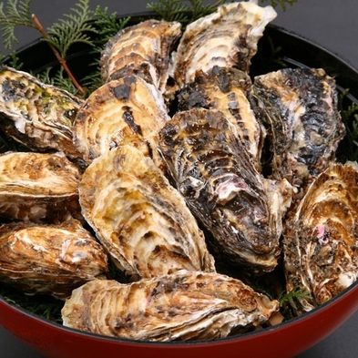【個室夕食】グルメプラン【マイカー限定】伊勢海老１匹・あわび１匹・舟盛・焼き牡蠣会席